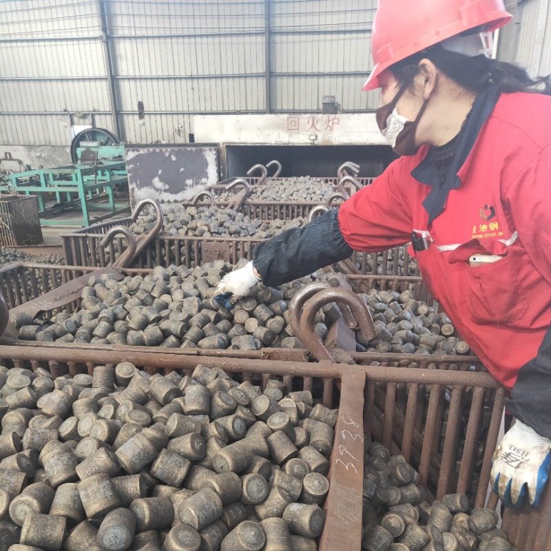 Wear Resistant Steel Forgings